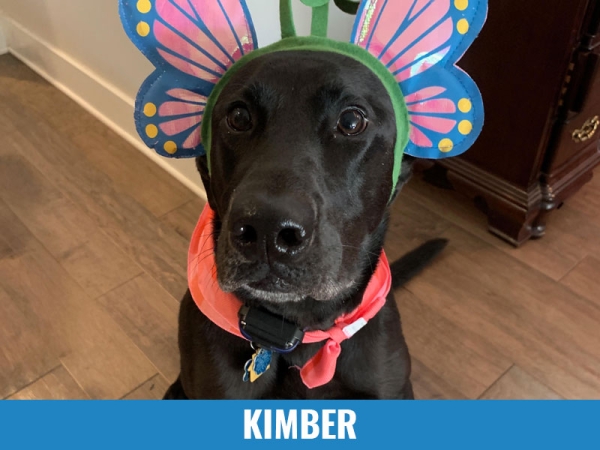 Kimber