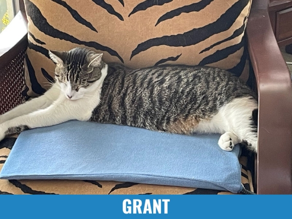 Grant