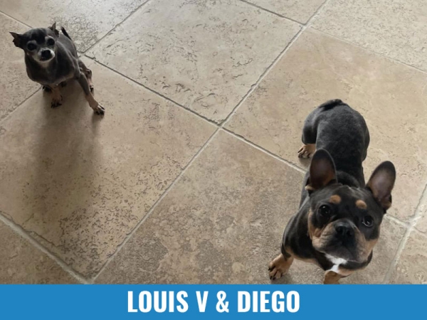 Louis V &amp; Diego