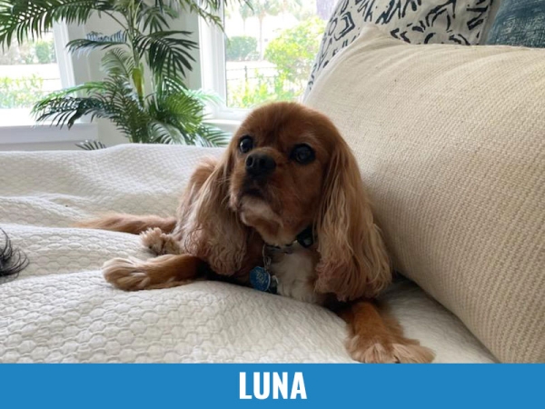 Luna