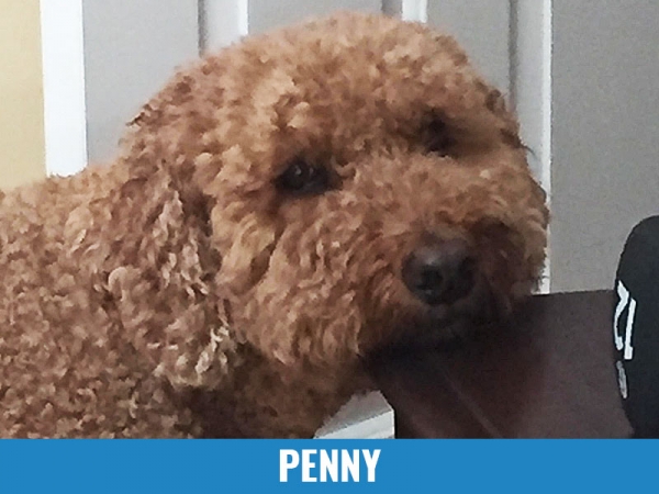 Penny