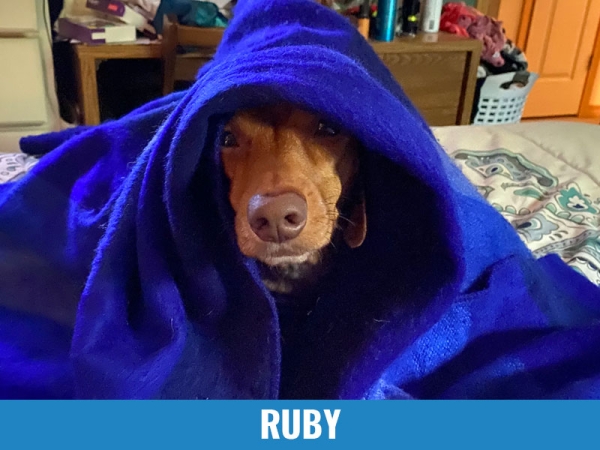 Ruby 1
