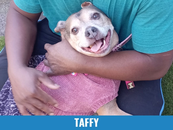 Taffy