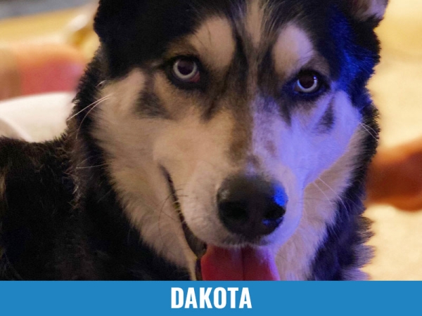Dakota