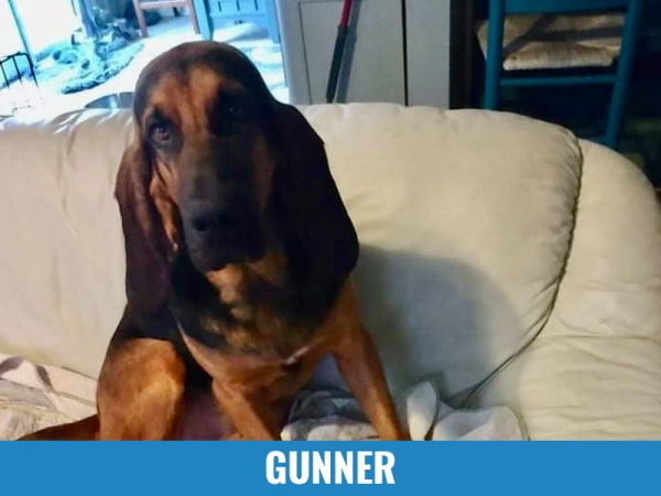 Gunner