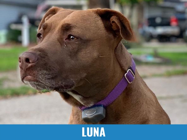 Luna