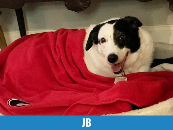 JB