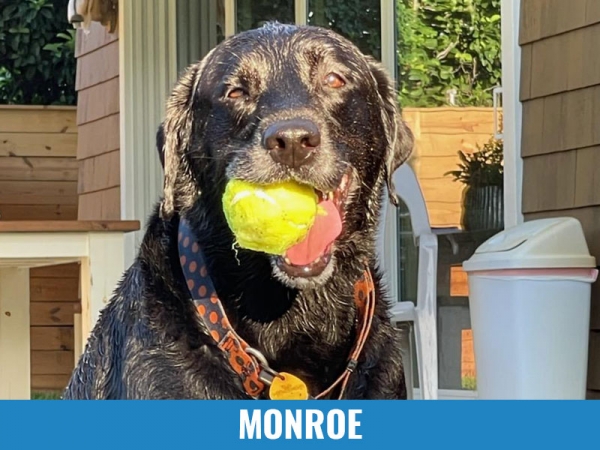 Monroe