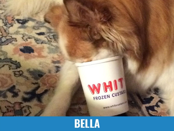 Bella