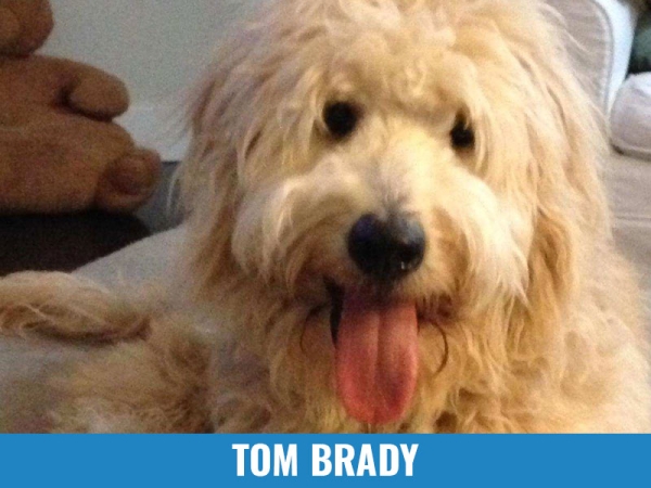 Tom Brady