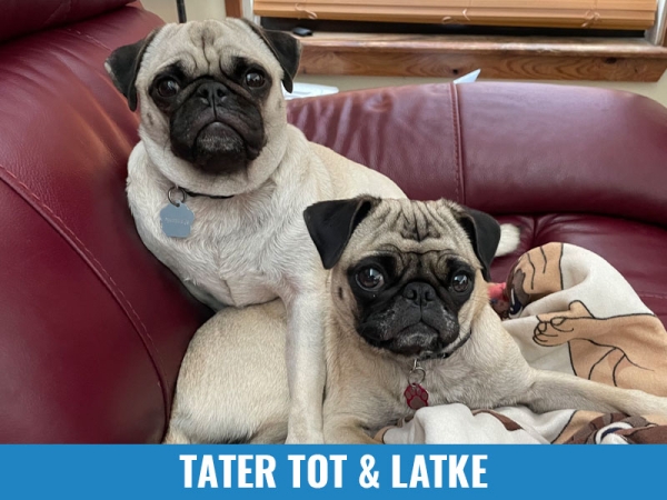 Tater Tot &amp; Latke