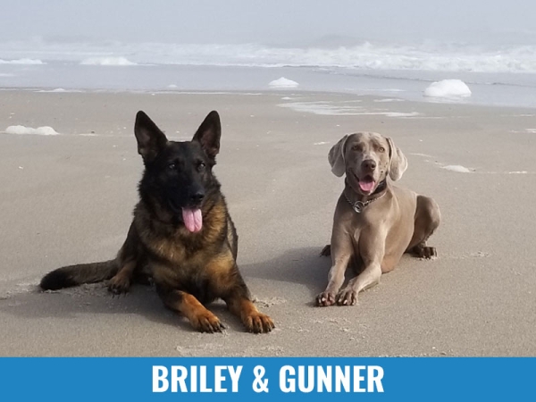 Briley &amp; Gunner