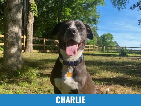 Charlie