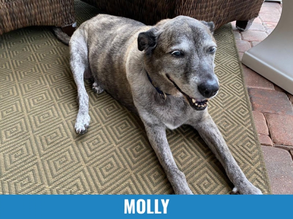 Molly