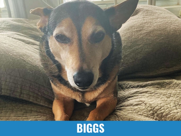 Biggs
