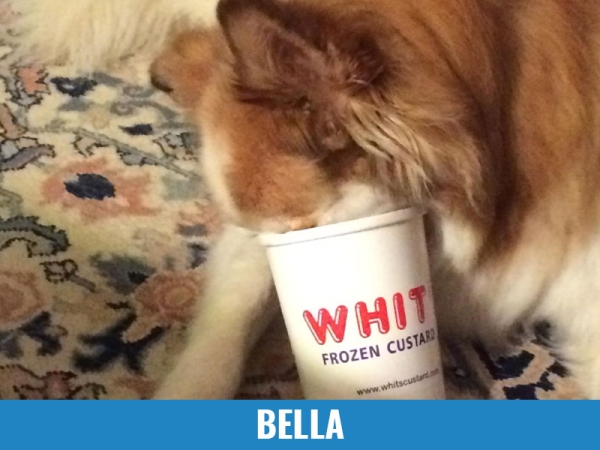 Bella