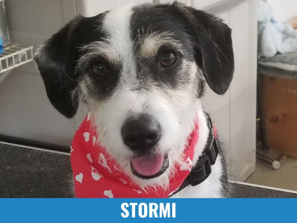 Stormi