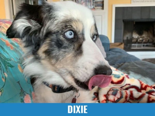 Dixie