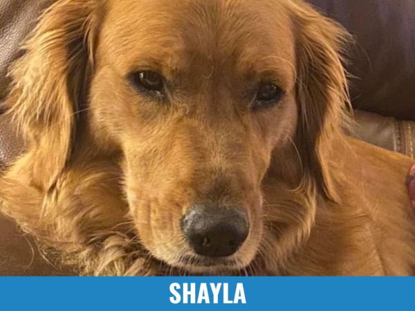 Shayla