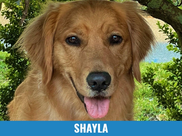 Shayla