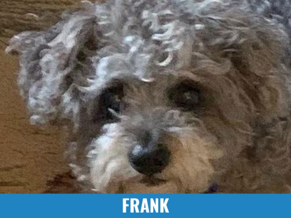 Frank