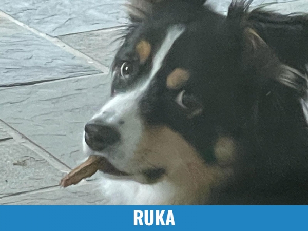 Ruka