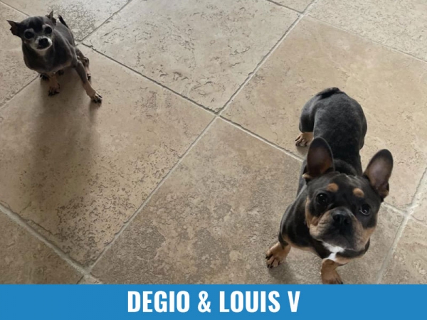 Degio &amp; Louis V
