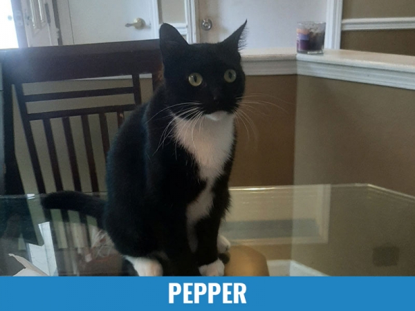 Pepper